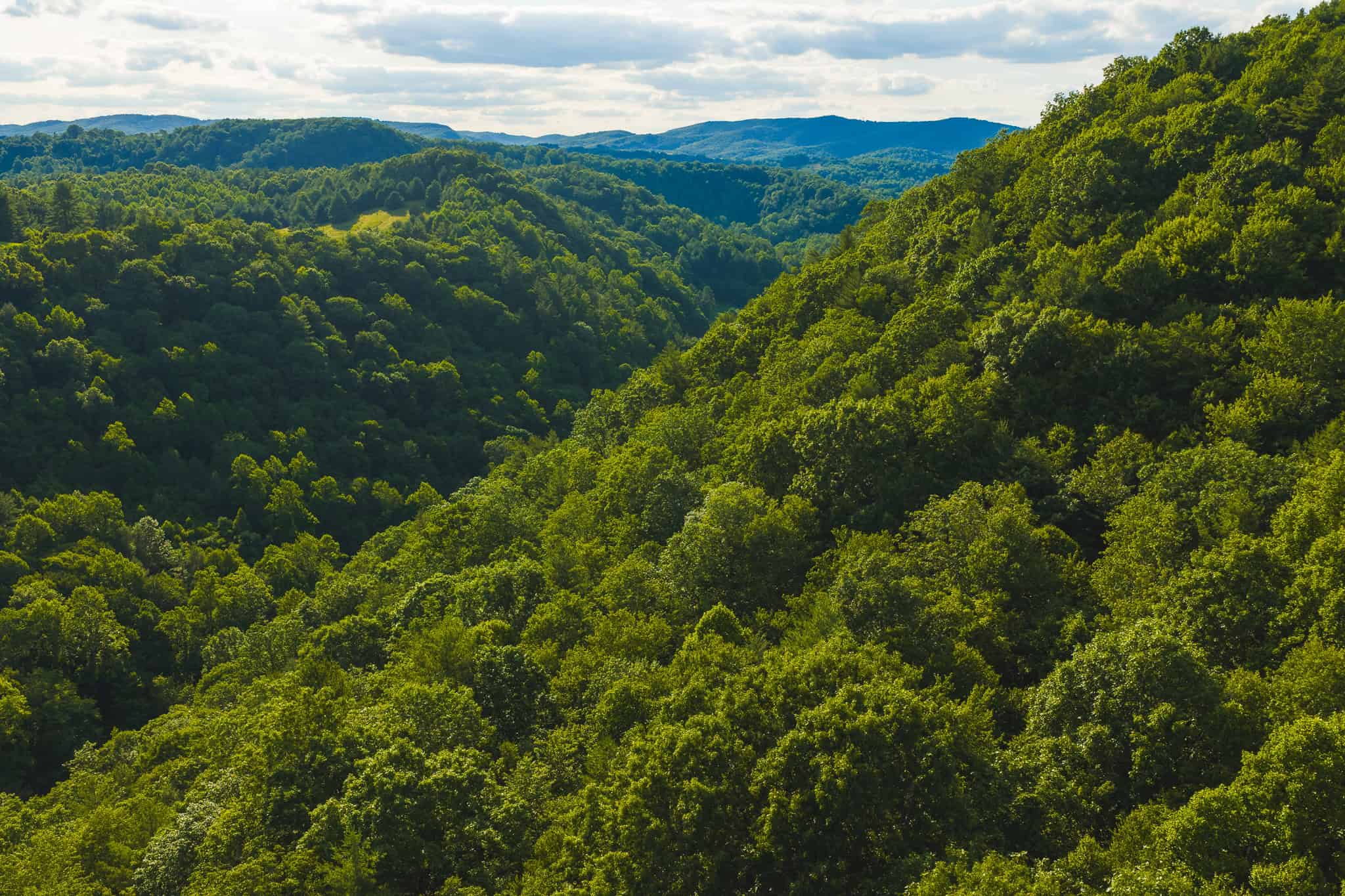 Recreational Acreage for Sale in Willis, VA!