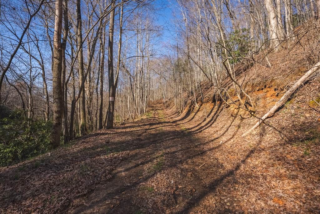 Acreage for Sale Adjoining Primland Resort