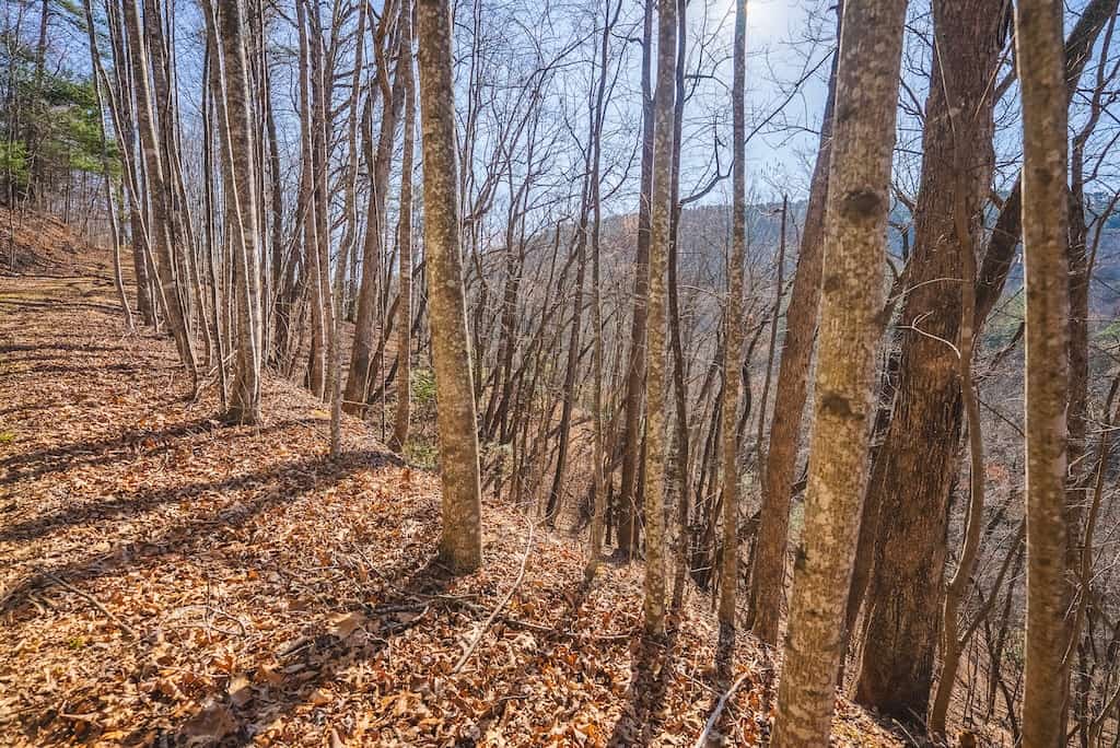 Acreage for Sale Adjoining Primland Resort