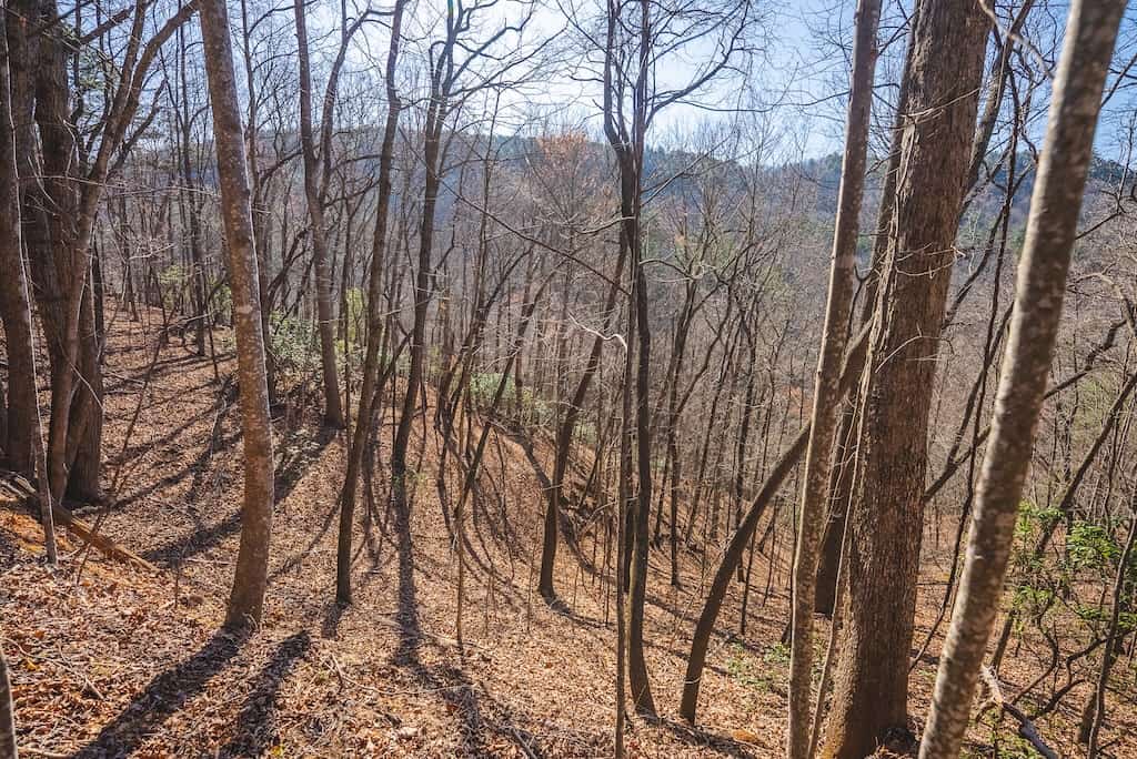 Acreage for Sale Adjoining Primland Resort