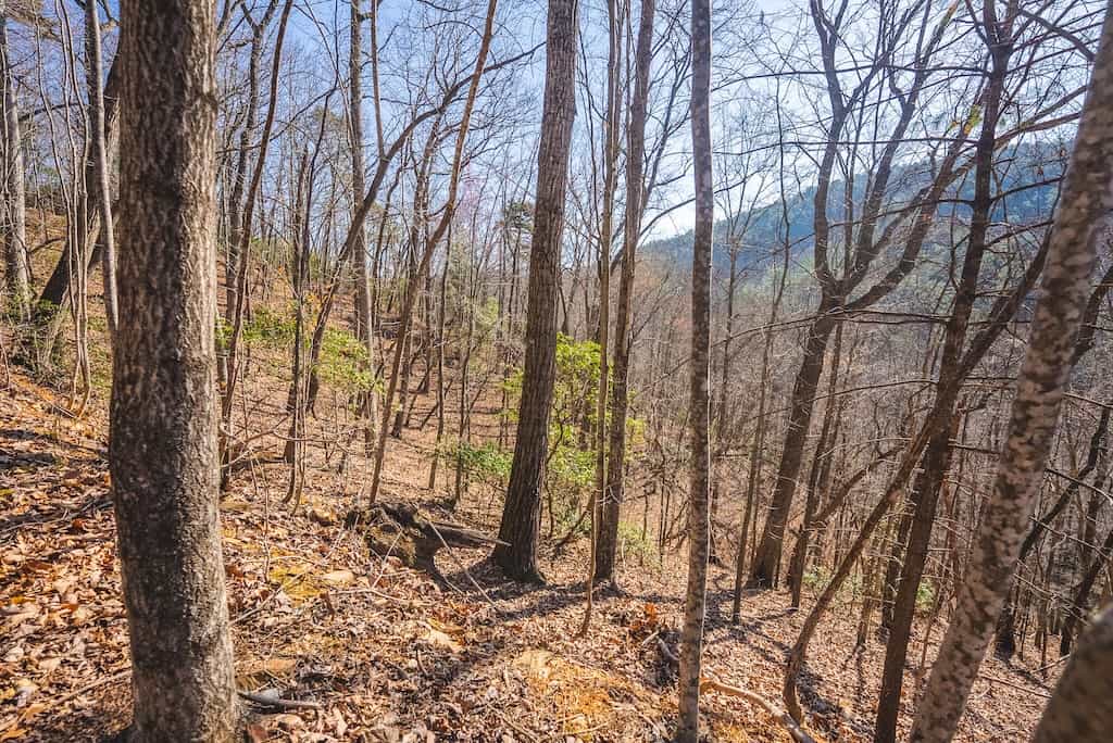 Acreage for Sale Adjoining Primland Resort