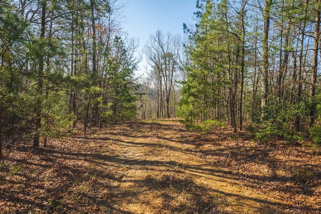 Acreage for Sale Adjoining Primland Resort