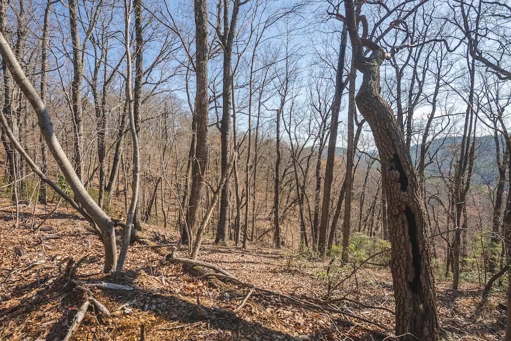 Acreage for Sale Adjoining Primland Resort