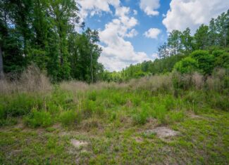143-acre tract, positioned at the headwaters of the Ashepoo River