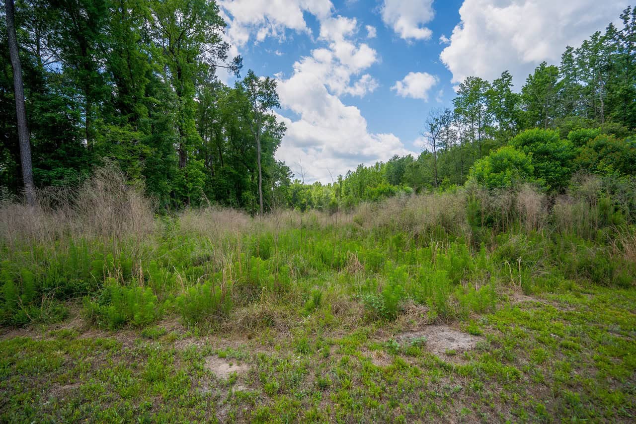 143-acre tract, positioned at the headwaters of the Ashepoo River