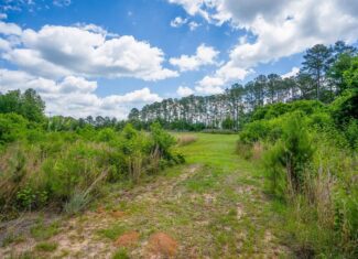 143-acre tract, positioned at the headwaters of the Ashepoo River