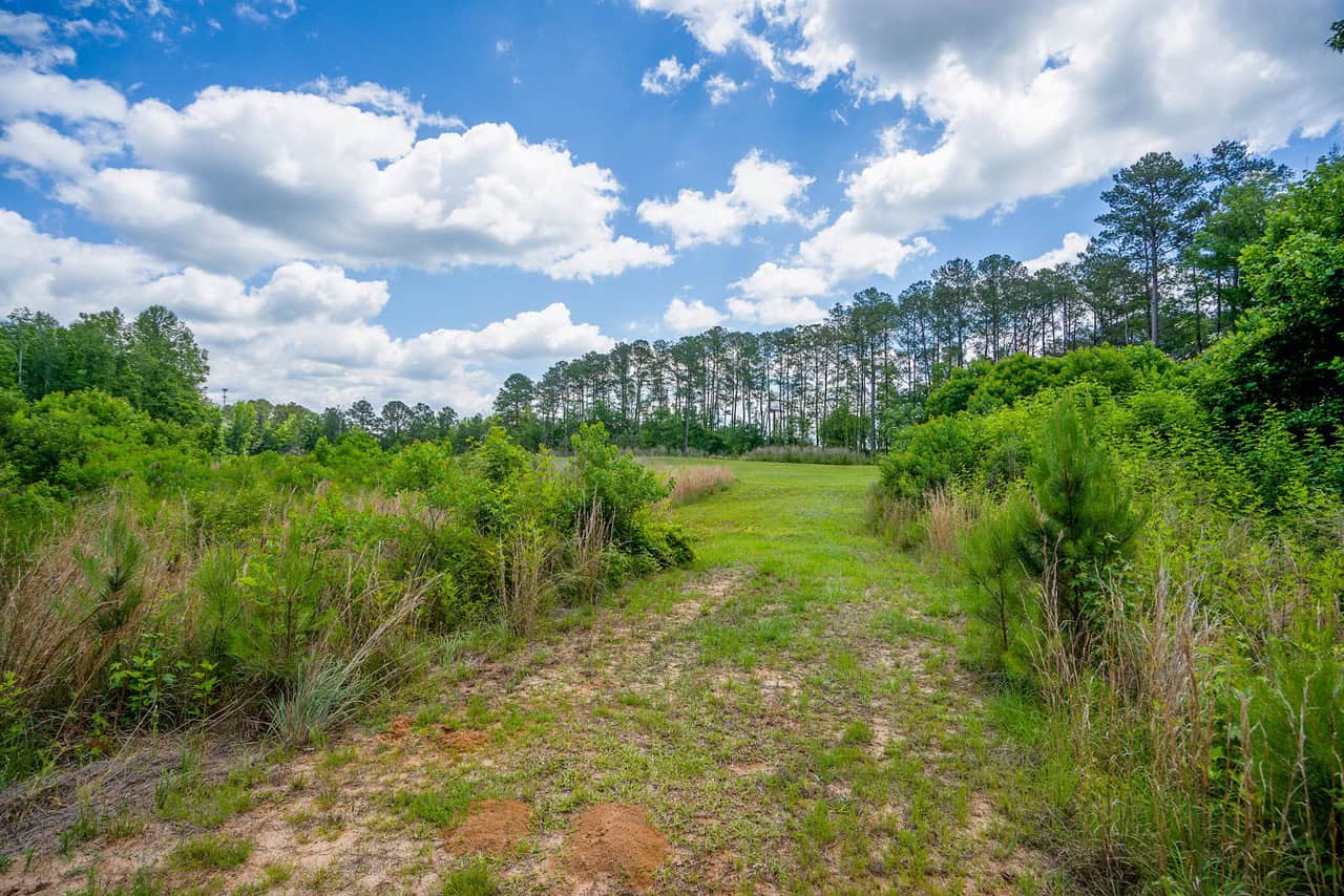143-acre tract, positioned at the headwaters of the Ashepoo River