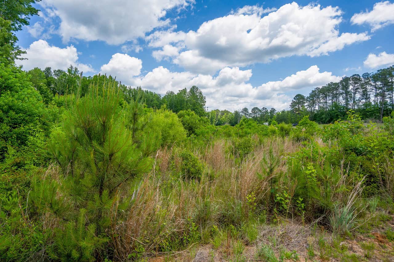 143-acre tract, positioned at the headwaters of the Ashepoo River