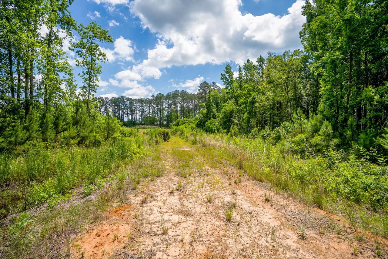 143-acre tract, positioned at the headwaters of the Ashepoo River