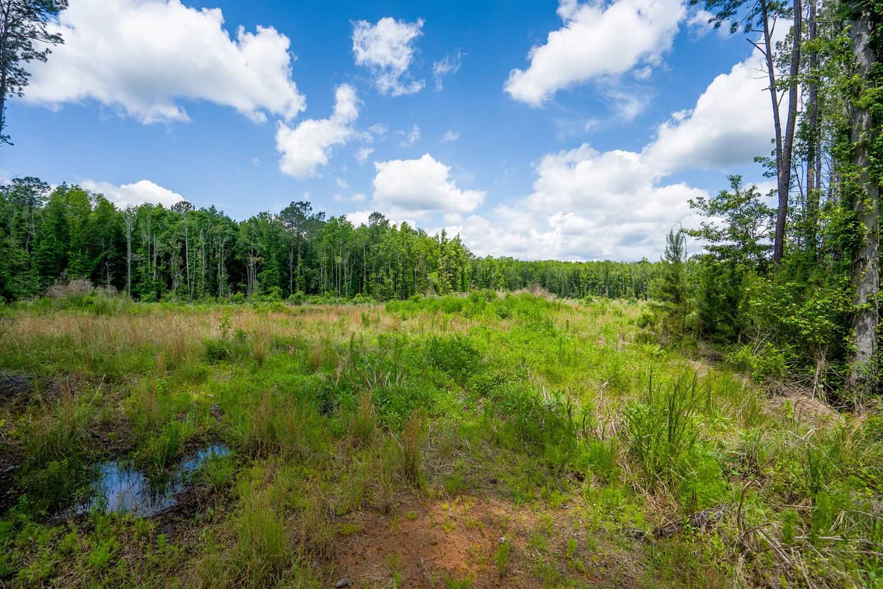143-acre tract, positioned at the headwaters of the Ashepoo River