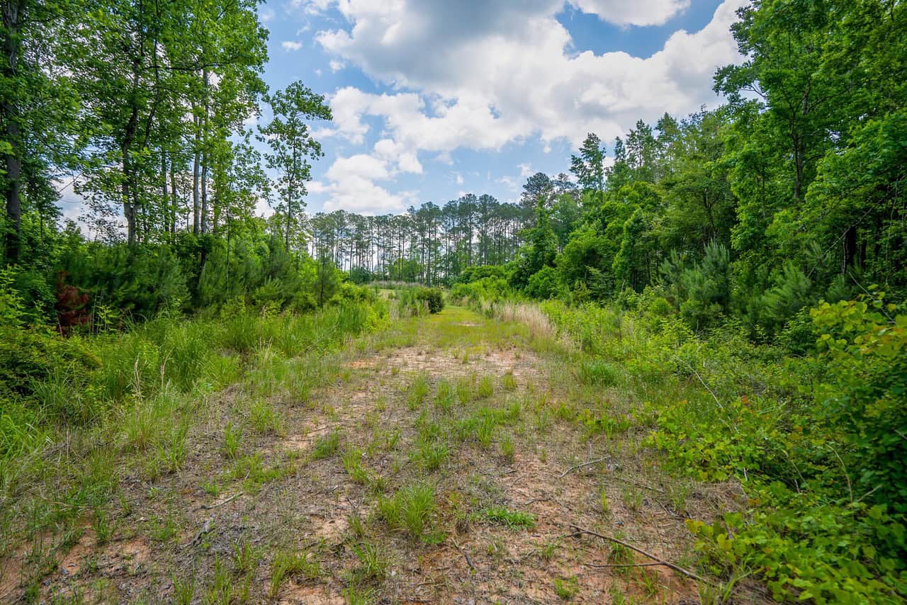 143-acre tract, positioned at the headwaters of the Ashepoo River