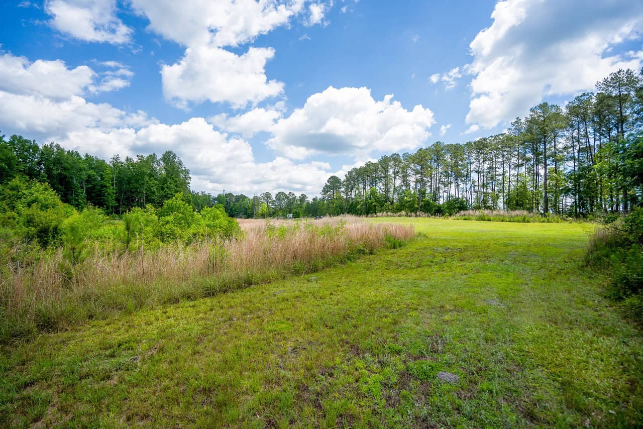 143-acre tract, positioned at the headwaters of the Ashepoo River