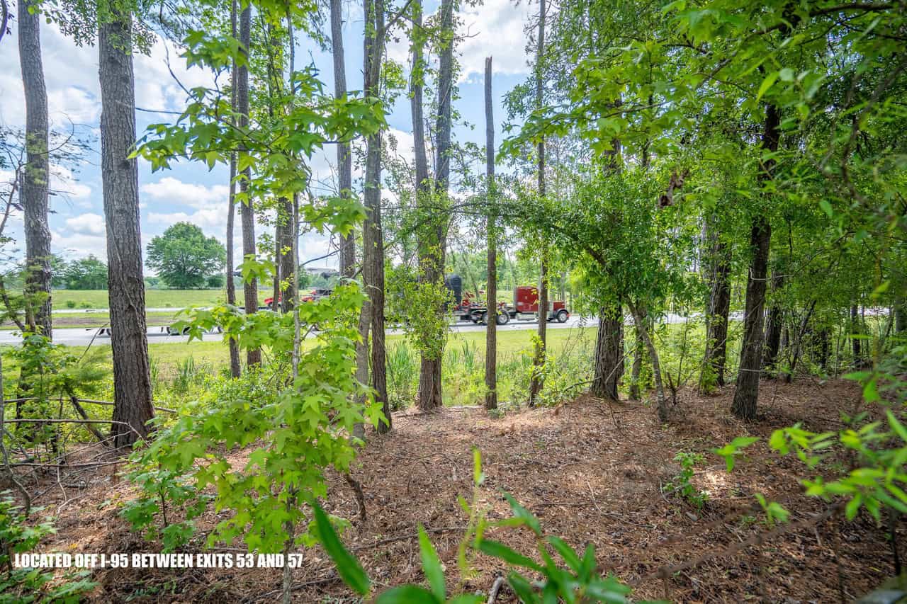 143-acre tract, positioned at the headwaters of the Ashepoo River