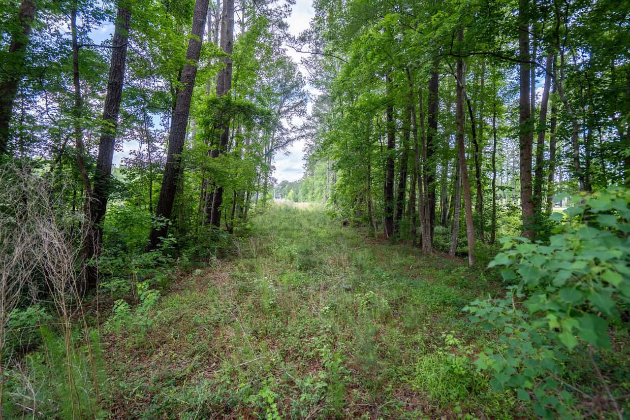 143-acre tract, positioned at the headwaters of the Ashepoo River
