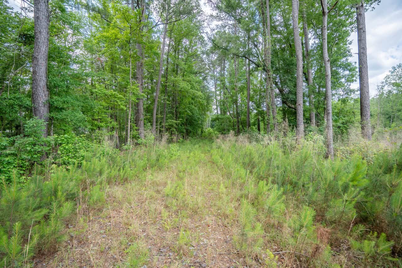 143-acre tract, positioned at the headwaters of the Ashepoo River