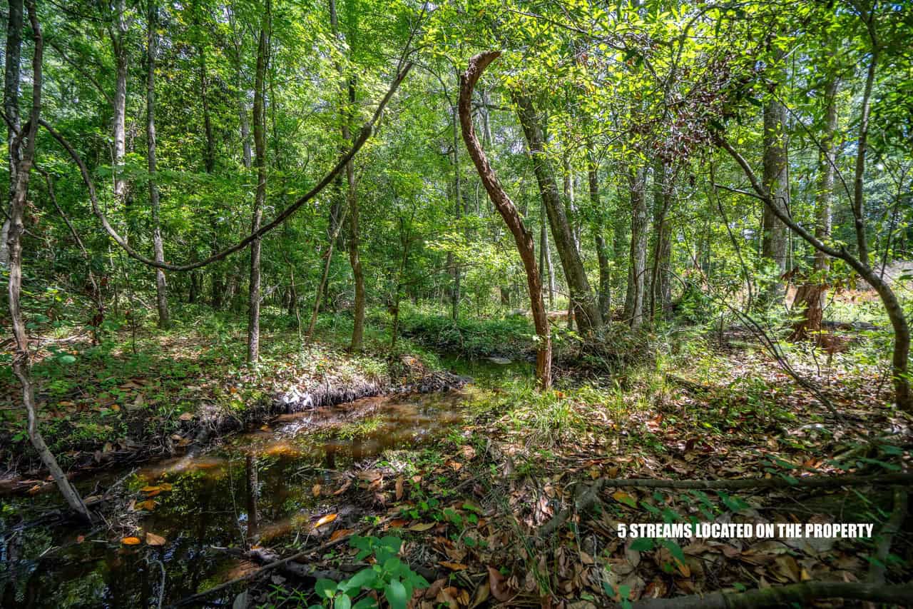 143-acre tract, positioned at the headwaters of the Ashepoo River