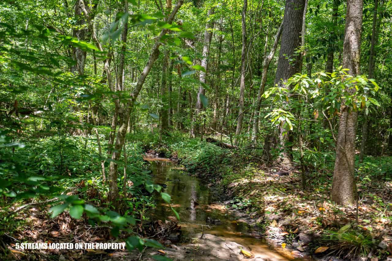 143-acre tract, positioned at the headwaters of the Ashepoo River