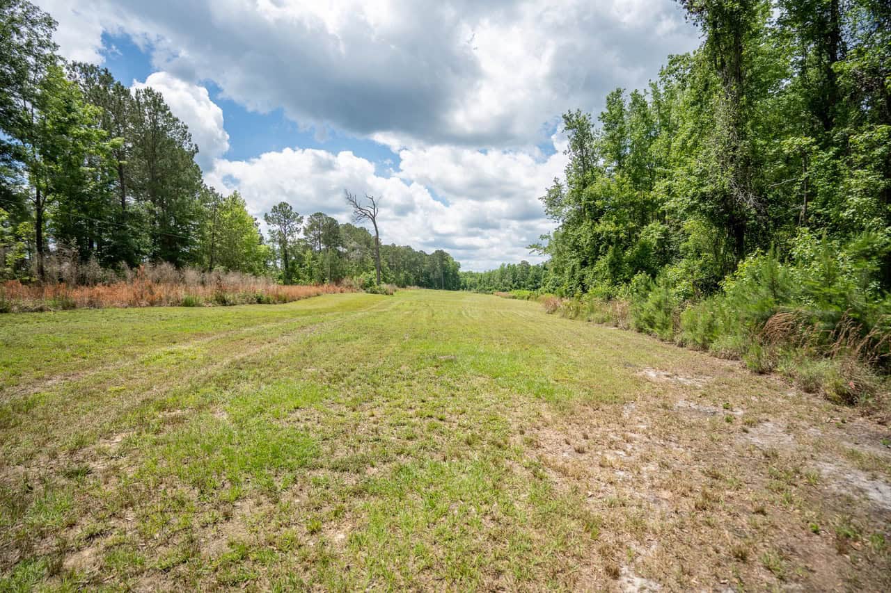 143-acre tract, positioned at the headwaters of the Ashepoo River