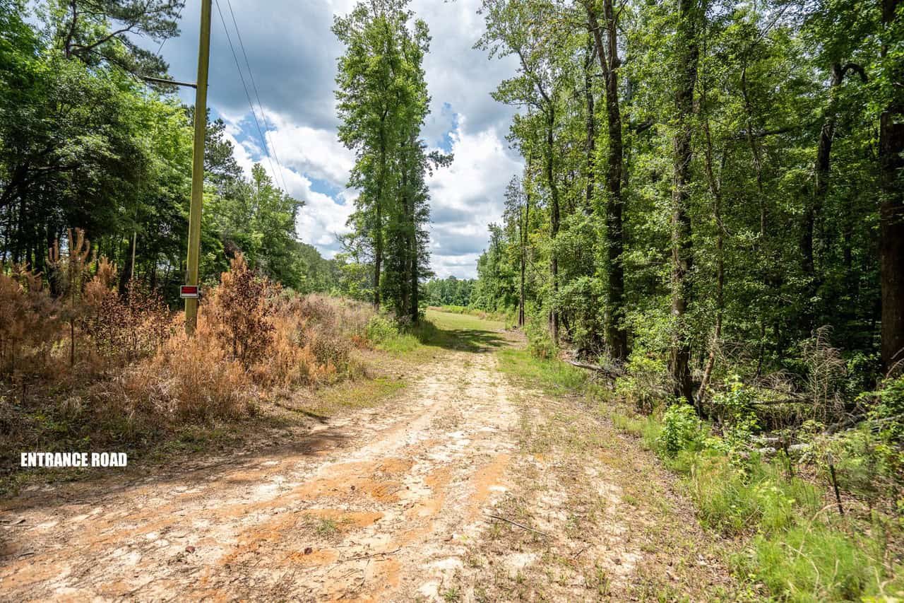 143-acre tract, positioned at the headwaters of the Ashepoo River
