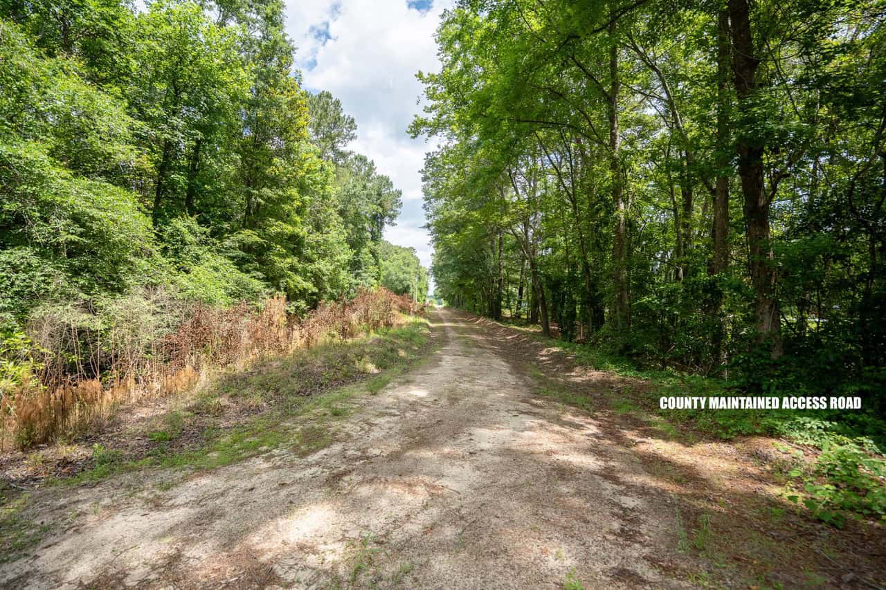 143-acre tract, positioned at the headwaters of the Ashepoo River