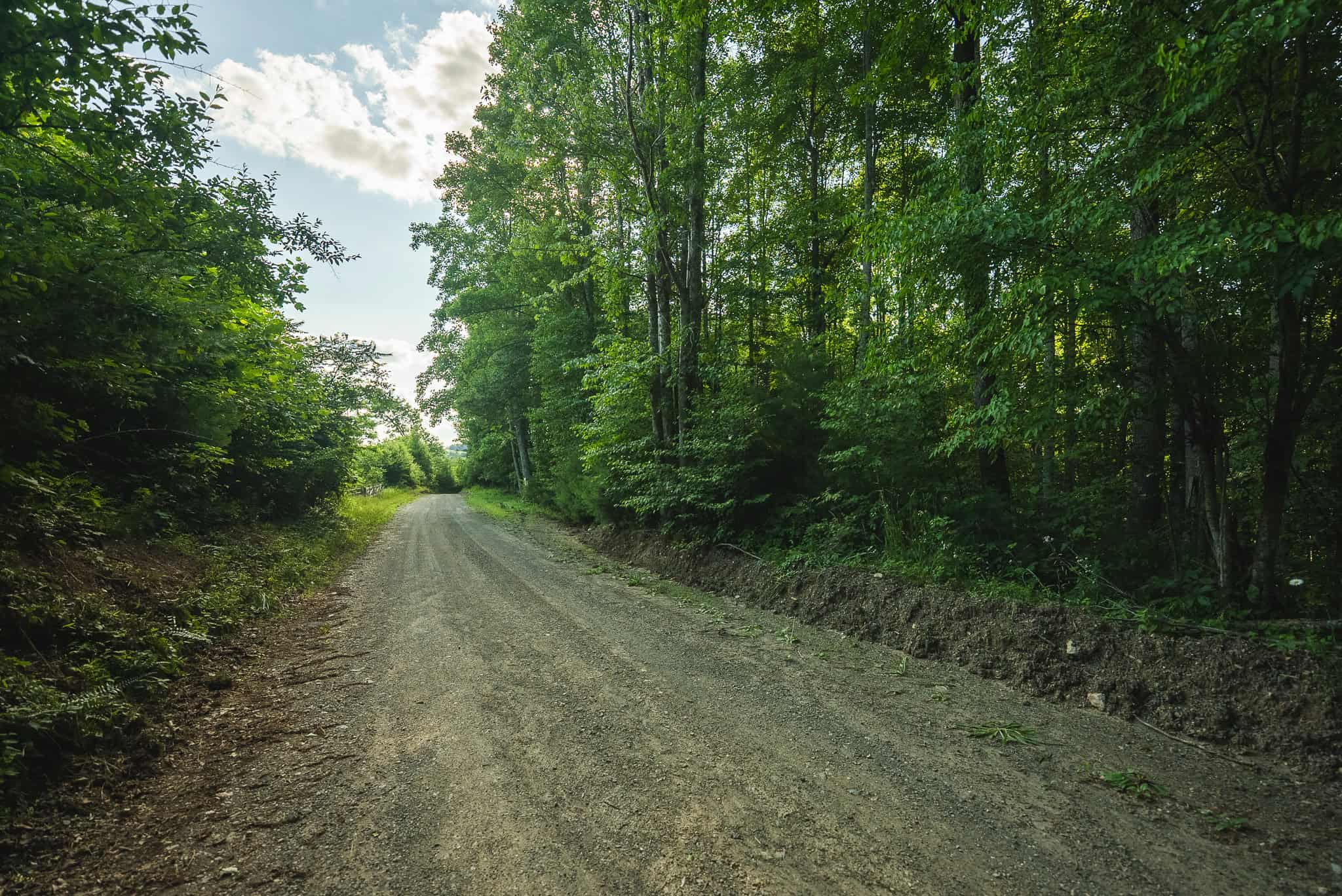 Recreational Acreage for Sale in Willis, VA!