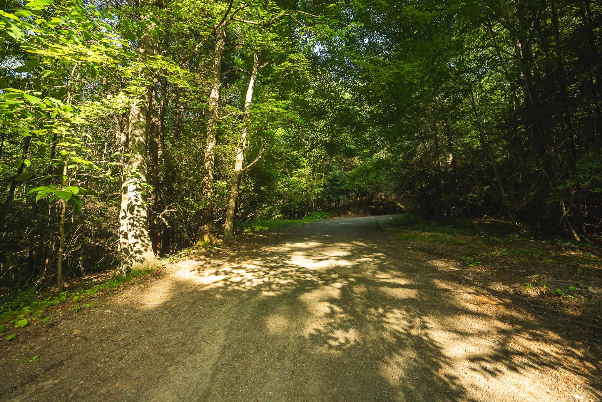 Recreational Acreage for Sale in Willis, VA!
