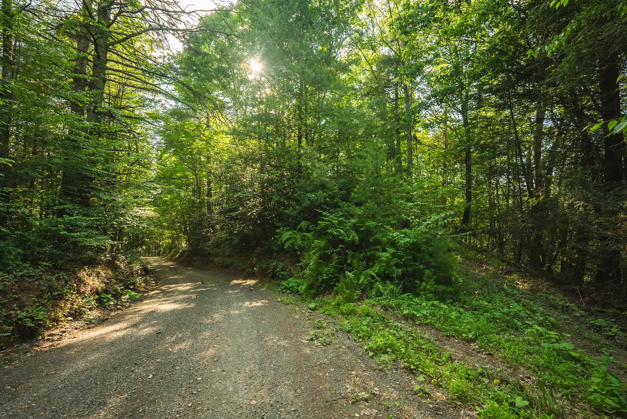 Recreational Acreage for Sale in Willis, VA!