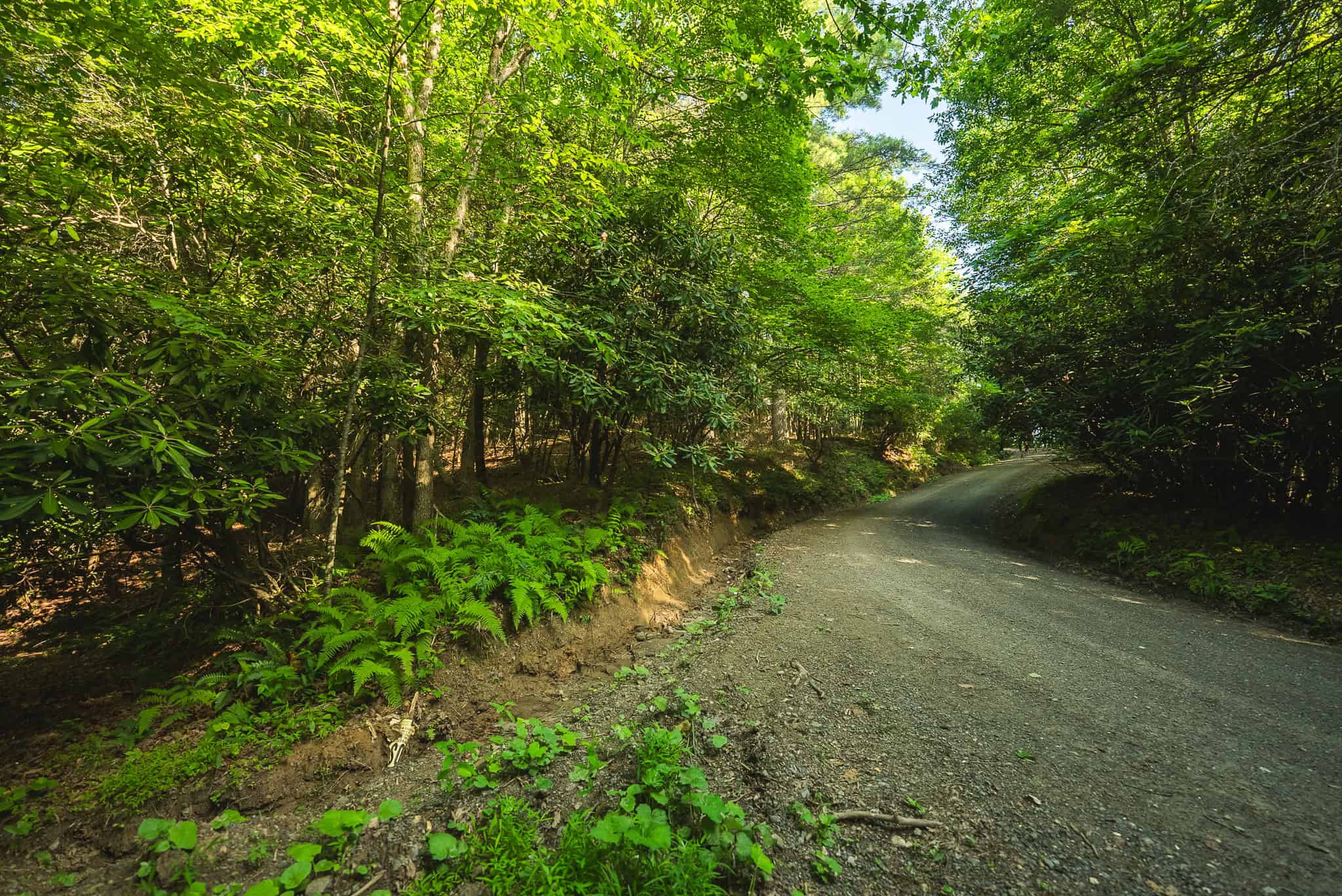 Recreational Acreage for Sale in Willis, VA!