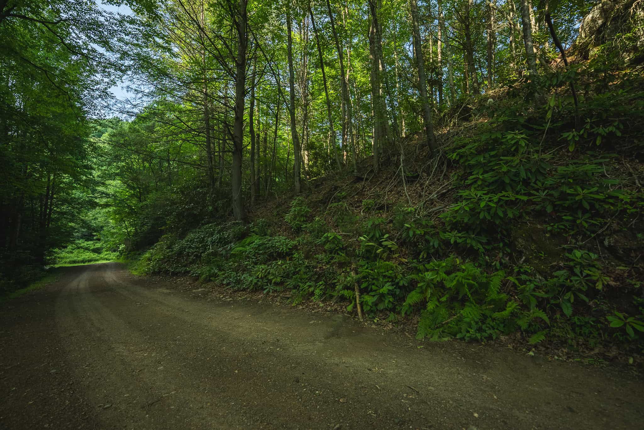 Recreational Acreage for Sale in Willis, VA!