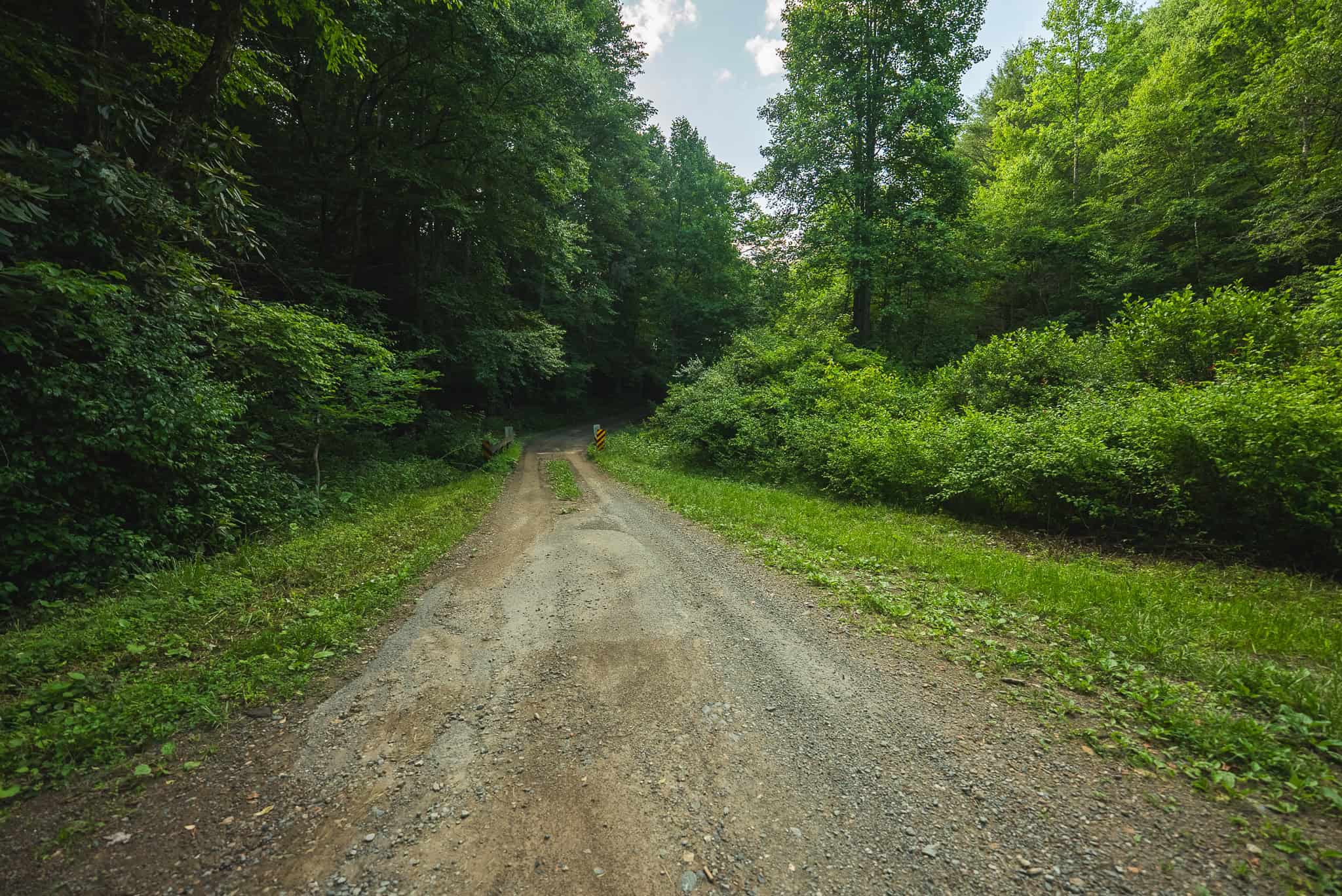 Recreational Acreage for Sale in Willis, VA!