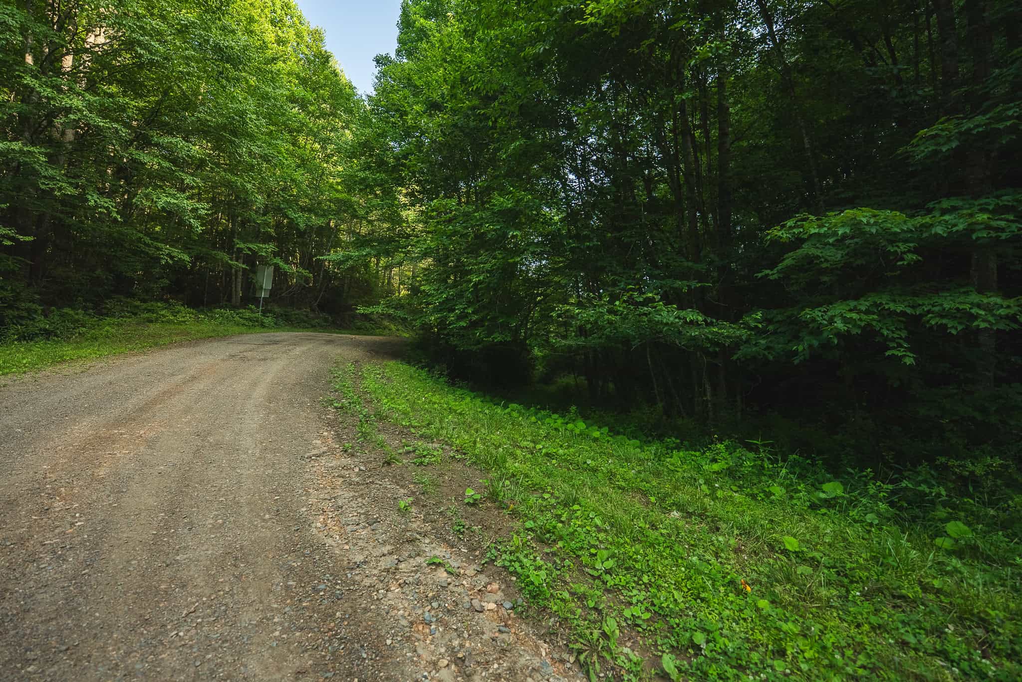 Recreational Acreage for Sale in Willis, VA!