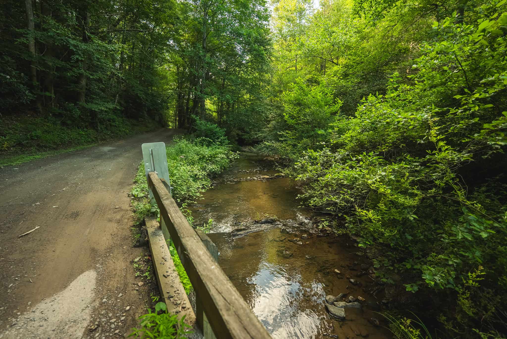 Recreational Acreage for Sale in Willis, VA!