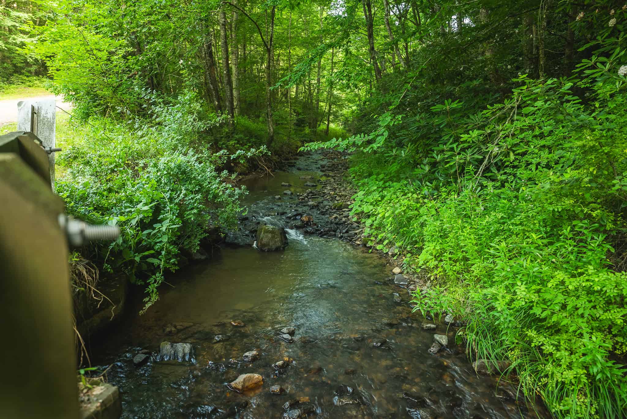 Recreational Acreage for Sale in Willis, VA!