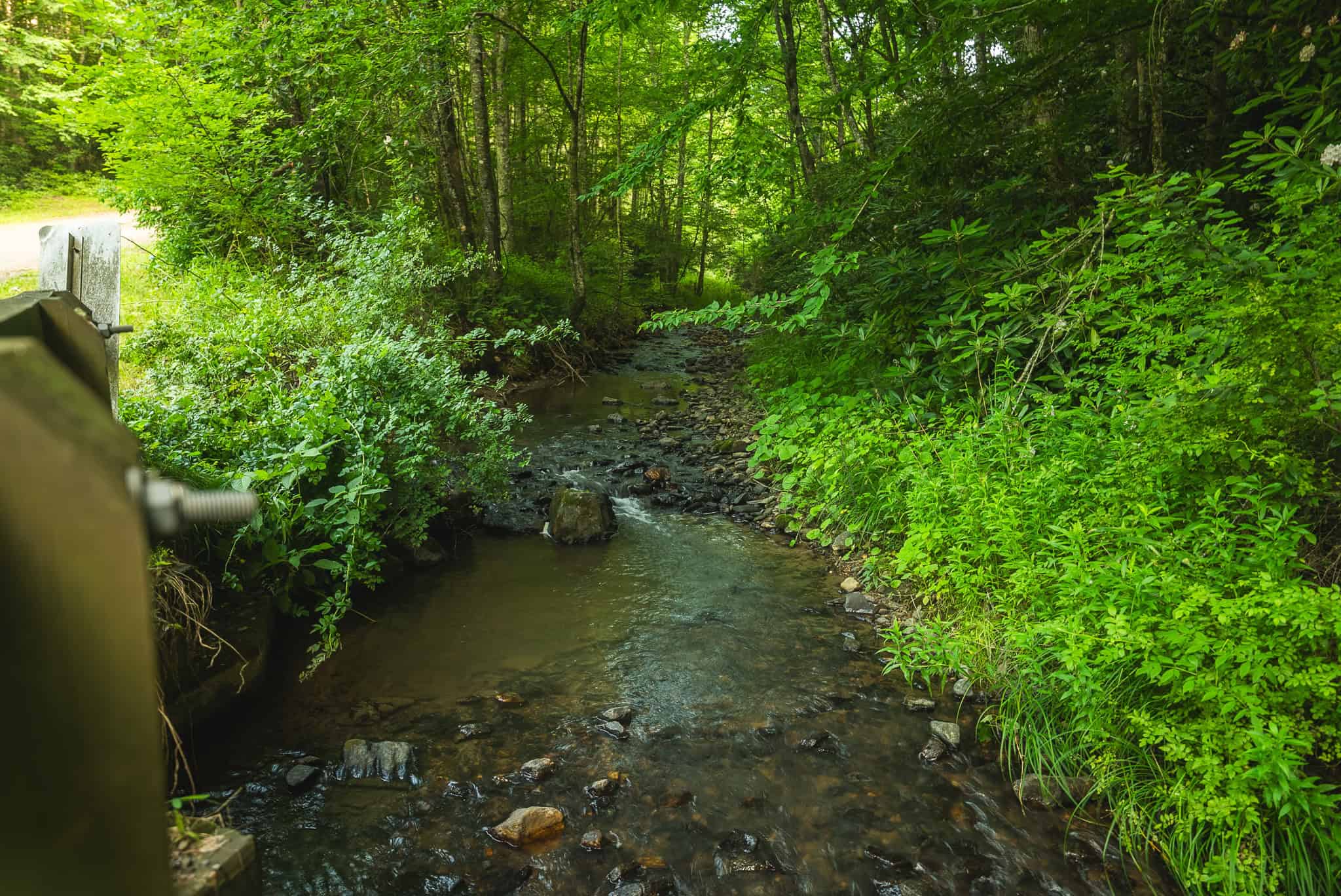 Recreational Acreage for Sale in Willis, VA!
