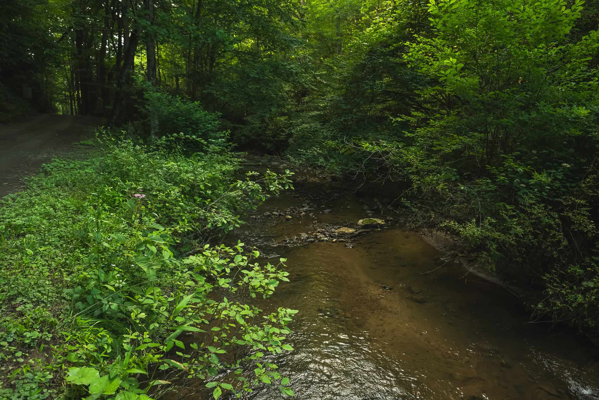 Recreational Acreage for Sale in Willis, VA!