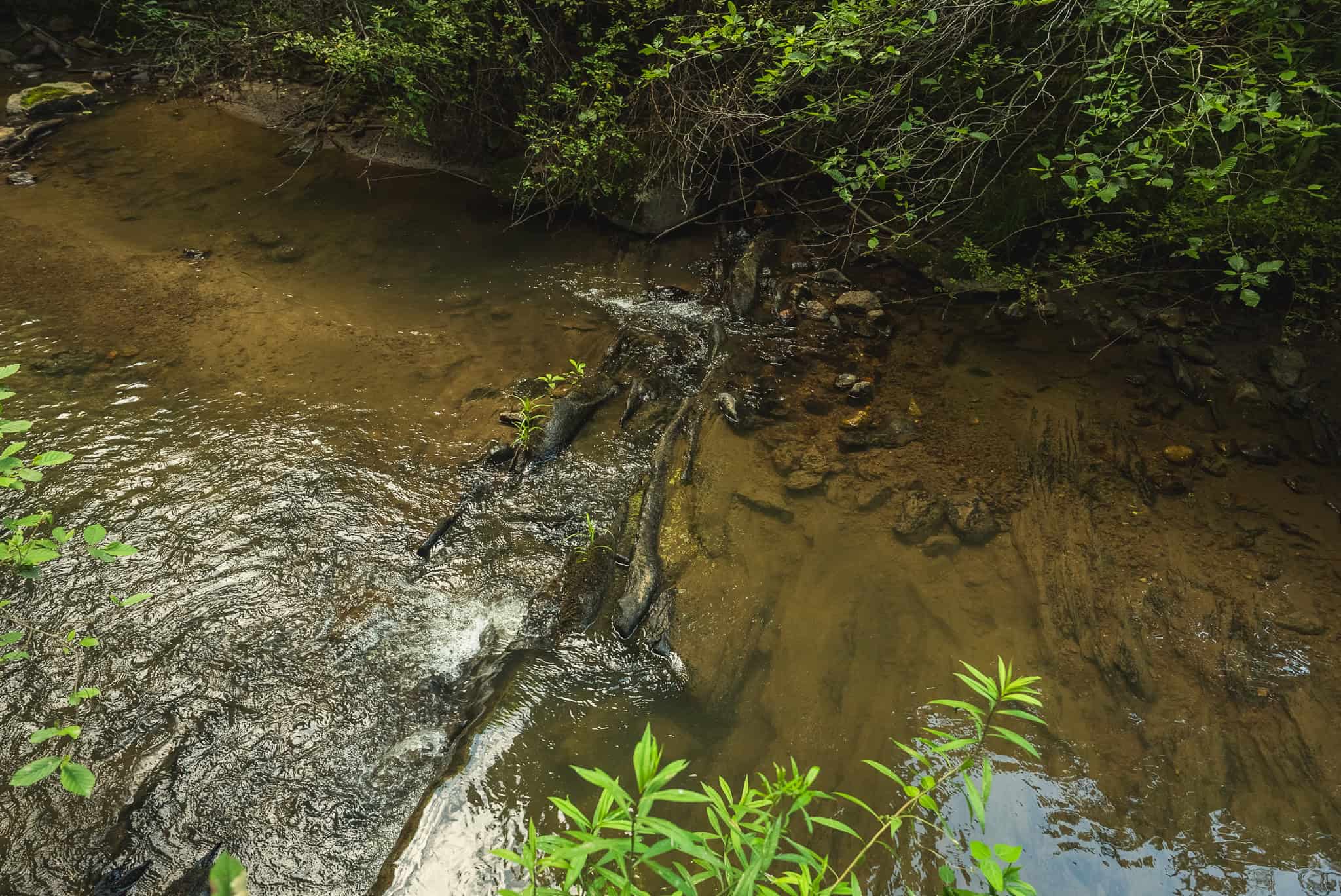 Recreational Acreage for Sale in Willis, VA!