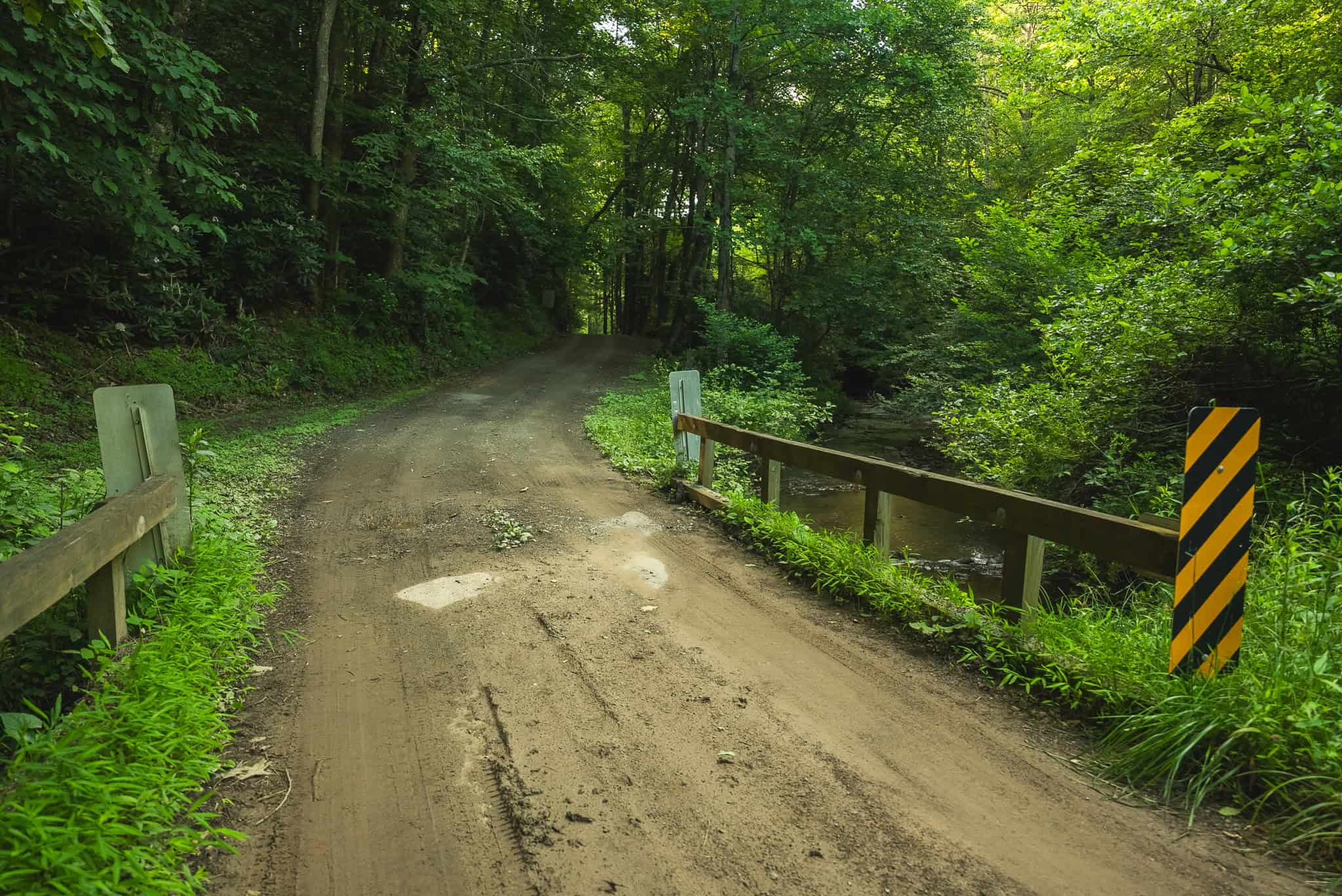 Recreational Acreage for Sale in Willis, VA!