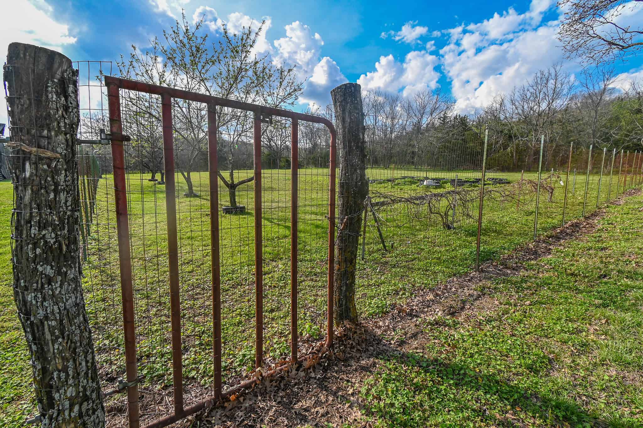 Home on acreage for sale Collins MO
