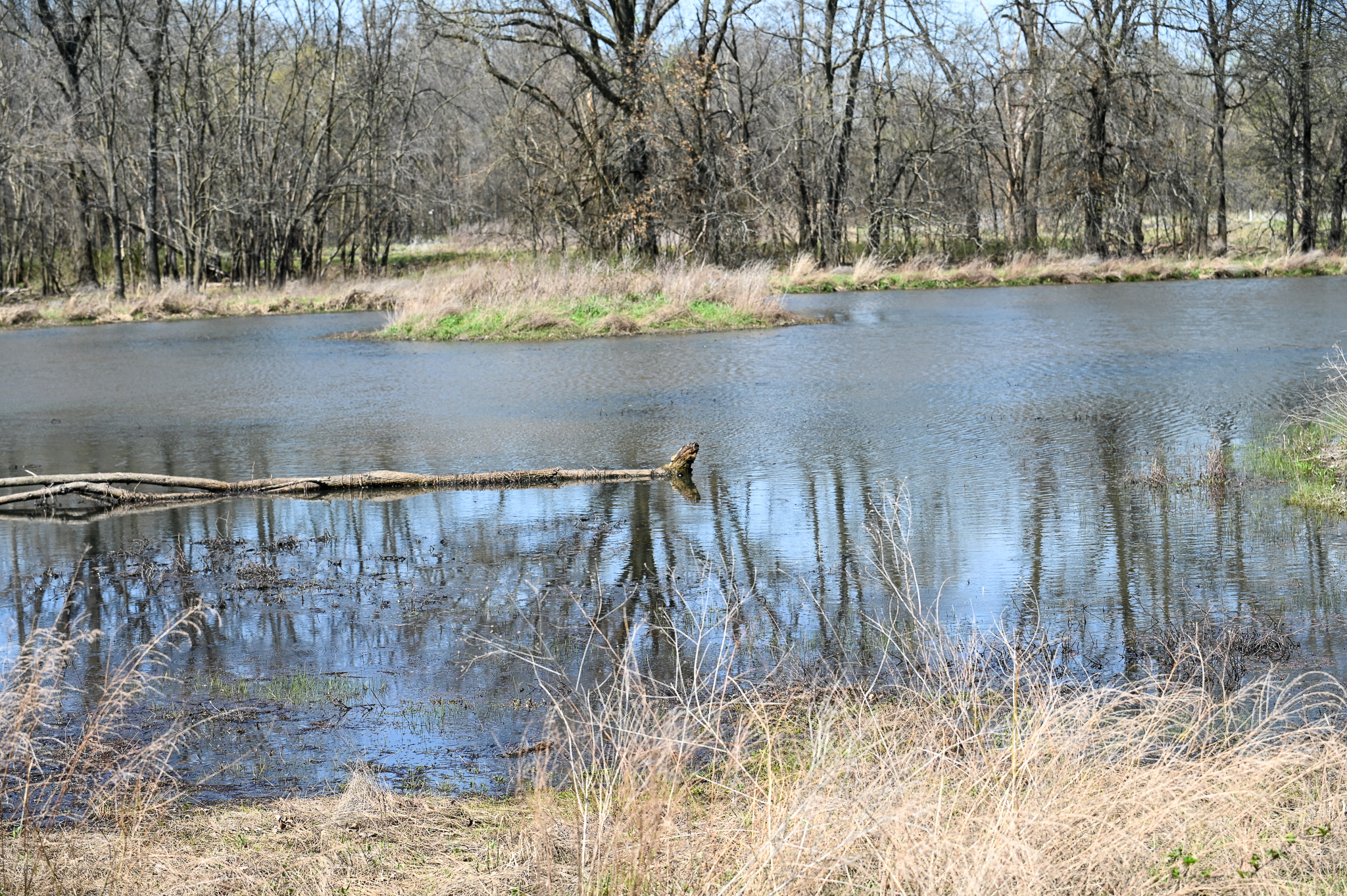 304 REAVLEY DR, LAMAR, MO, 64759-1003