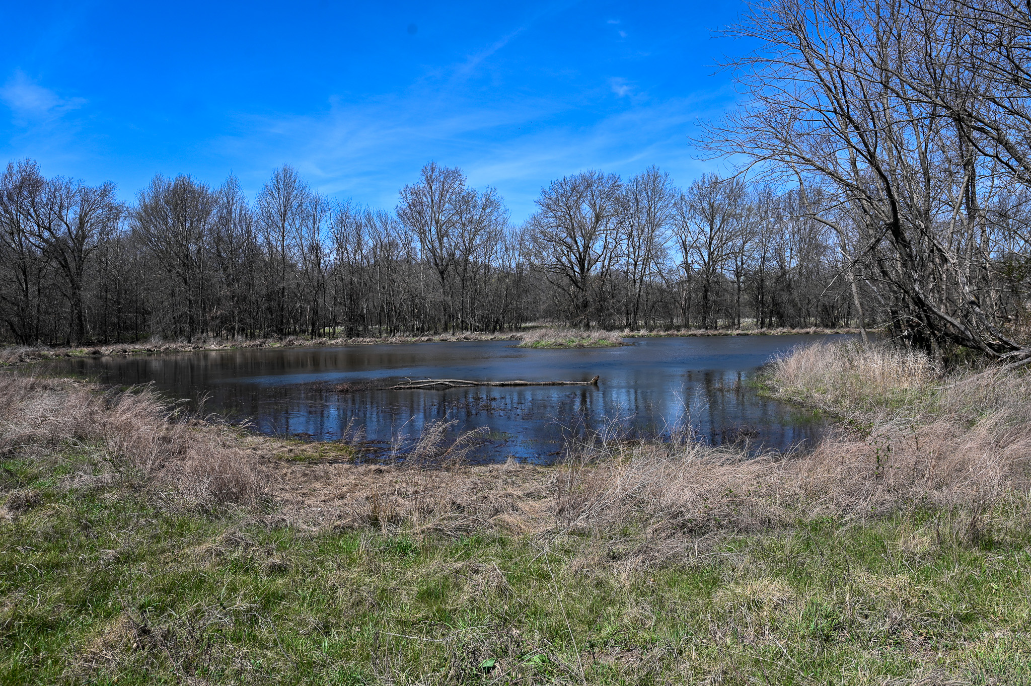 304 REAVLEY DR, LAMAR, MO, 64759-1003