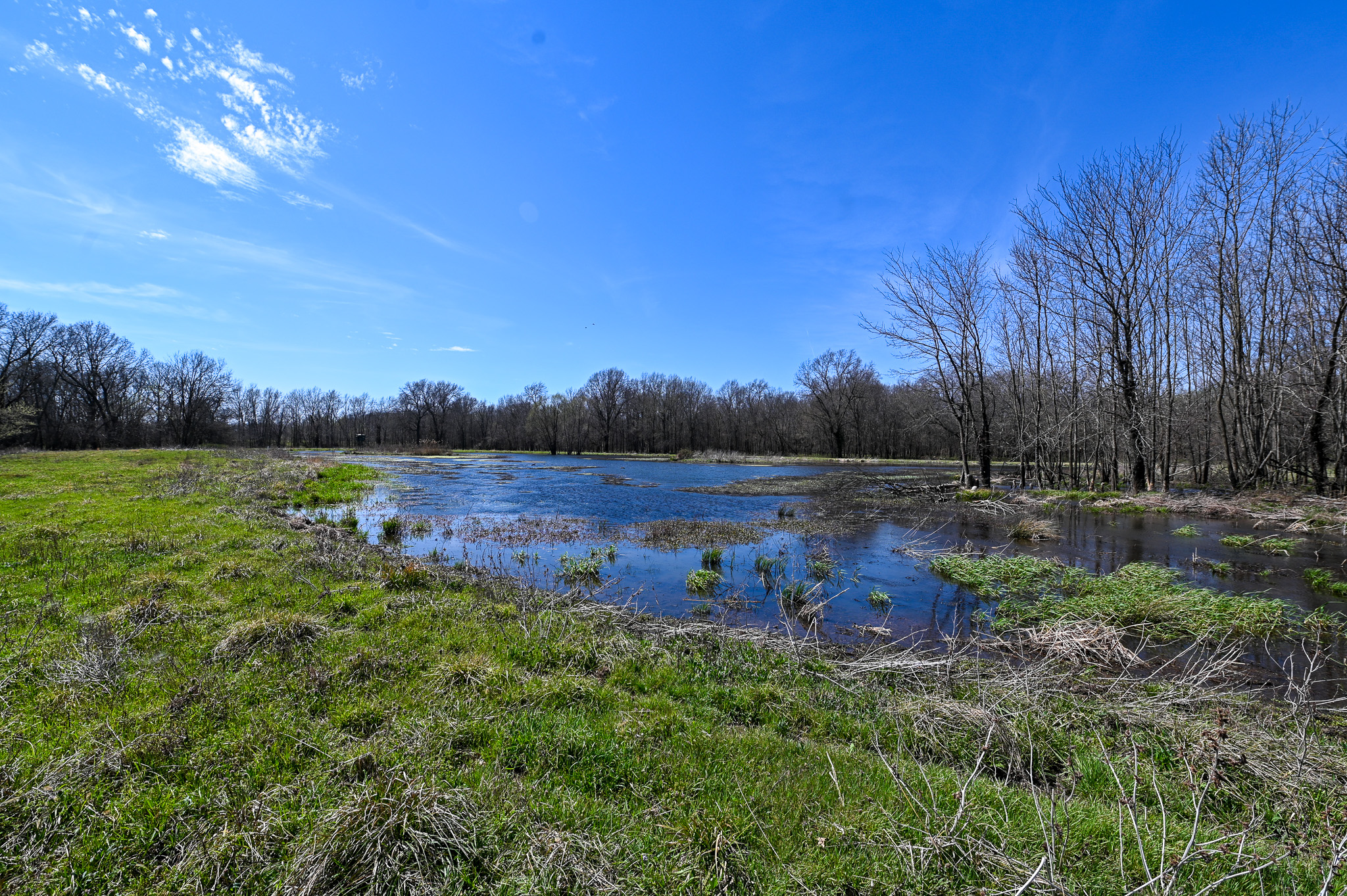 304 REAVLEY DR, LAMAR, MO, 64759-1003