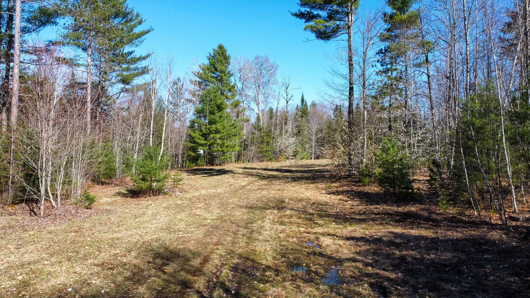 Western Maine Land for Sale – Near Sugarloaf & Outdoor Recreation