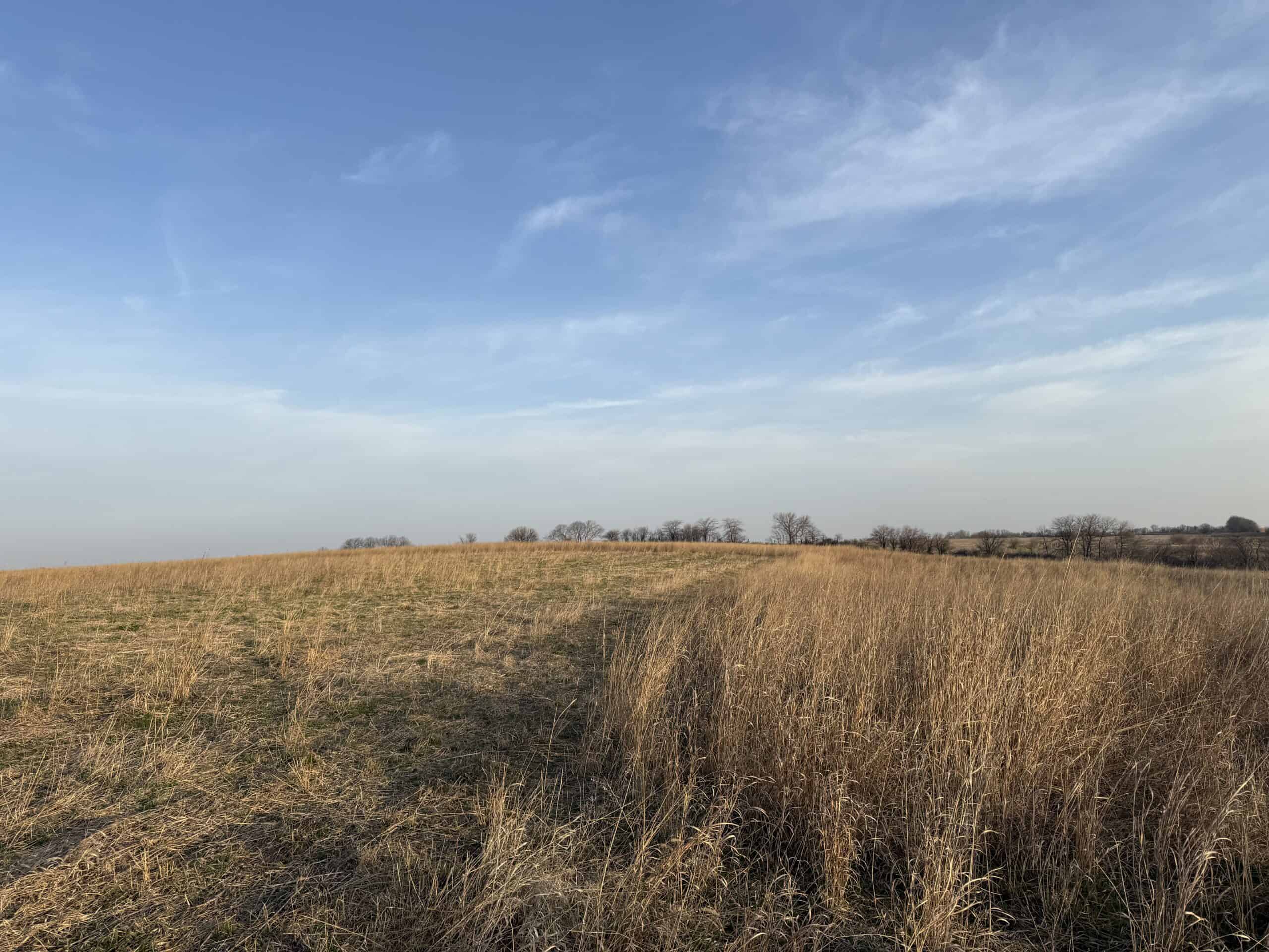 318 Acres m/l – Iowa Hunting & CRP Income Farm