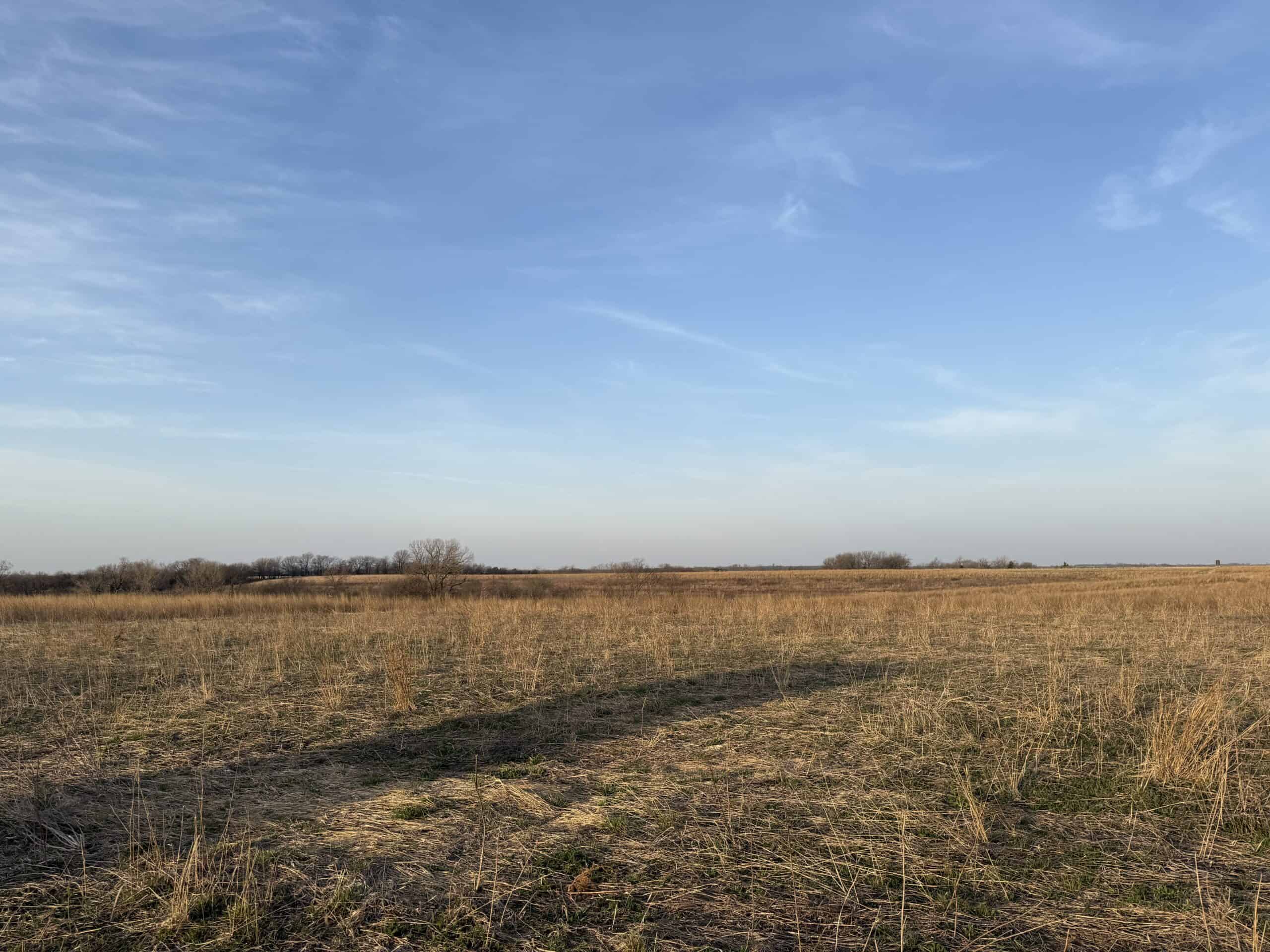 318 Acres m/l – Iowa Hunting & CRP Income Farm