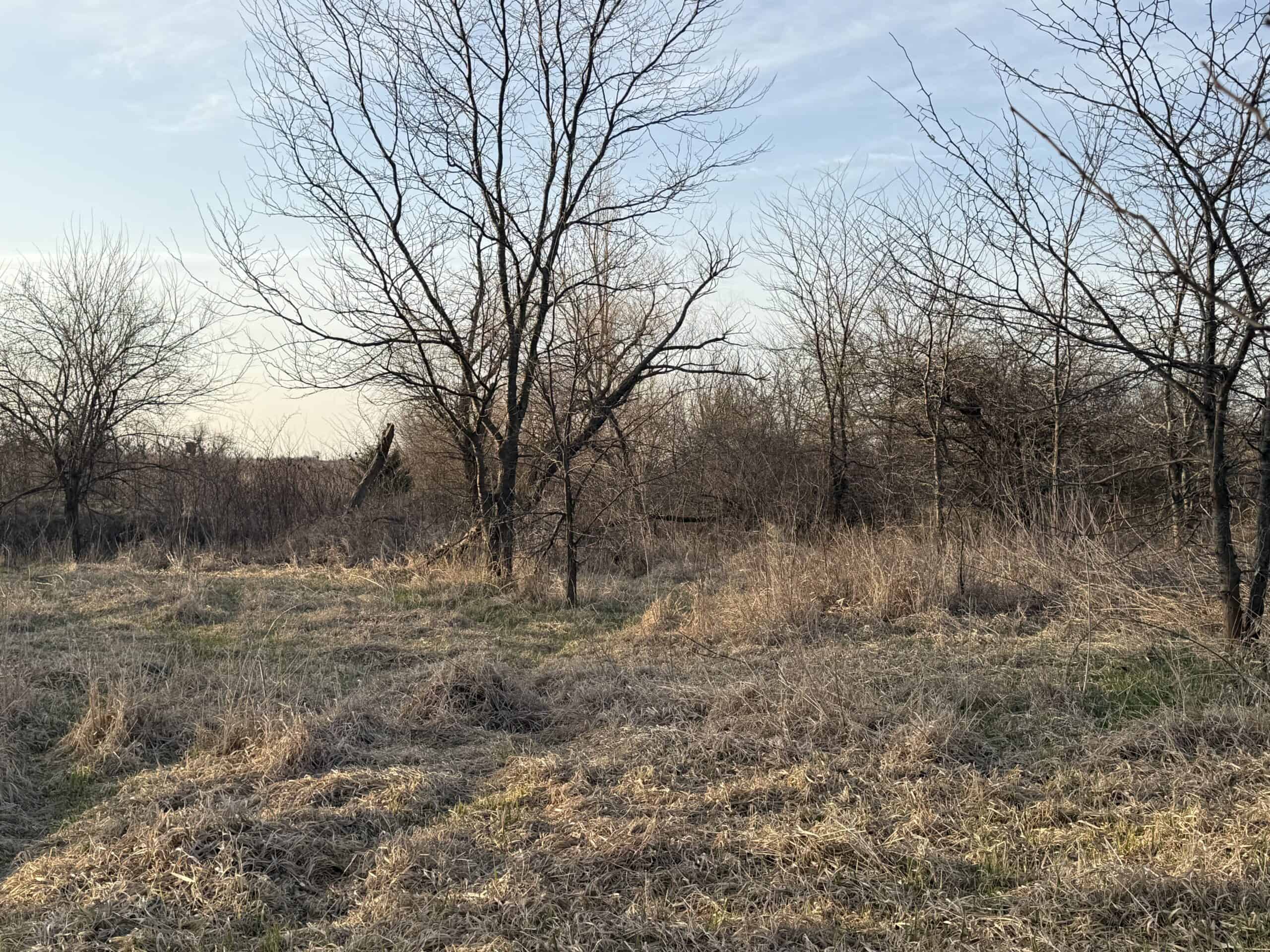 318 Acres m/l – Iowa Hunting & CRP Income Farm