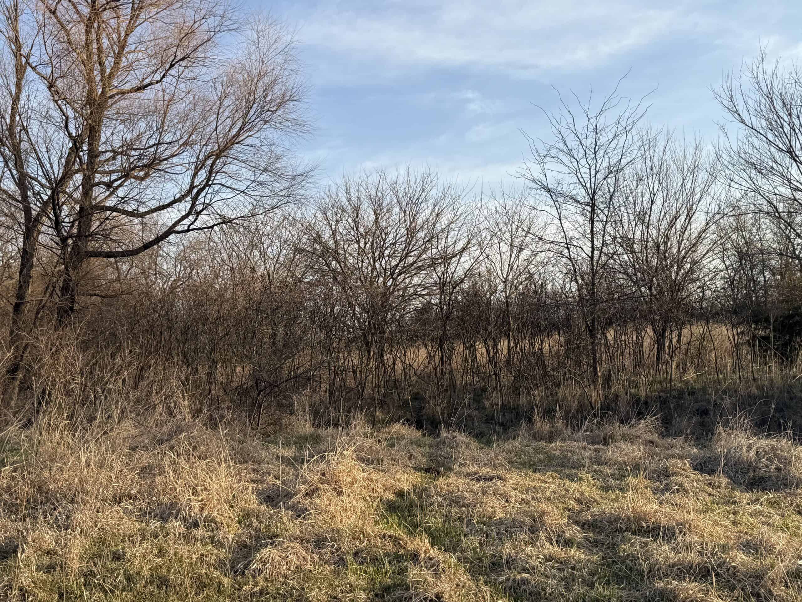 318 Acres m/l – Iowa Hunting & CRP Income Farm