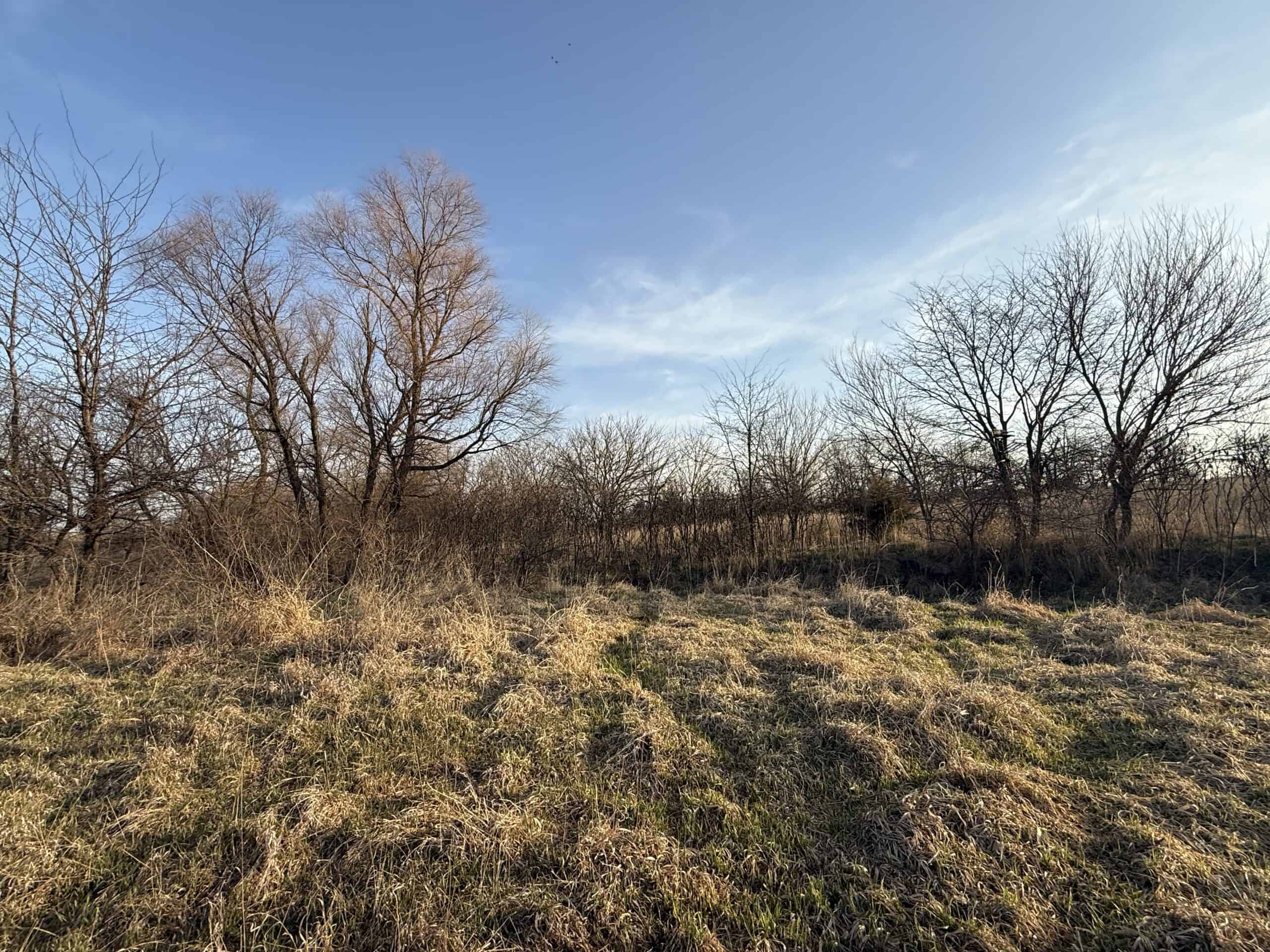 318 Acres m/l – Iowa Hunting & CRP Income Farm