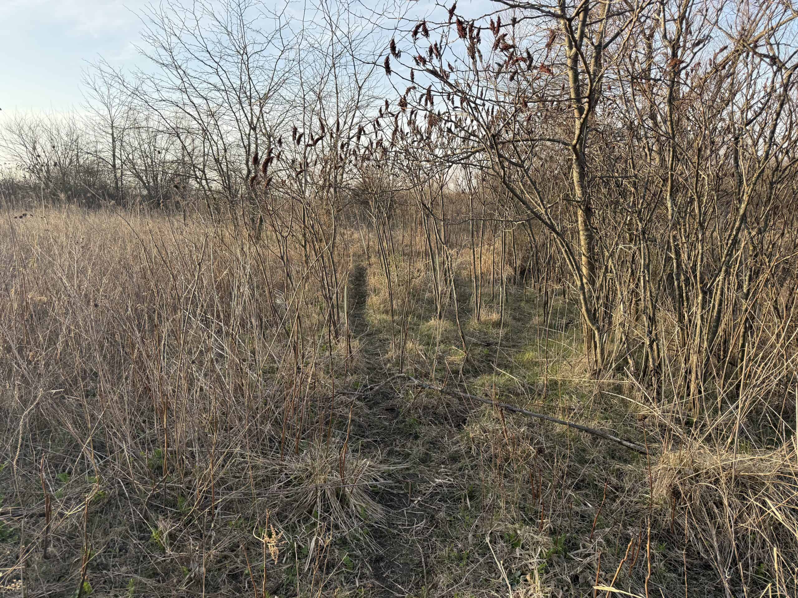 318 Acres m/l – Iowa Hunting & CRP Income Farm