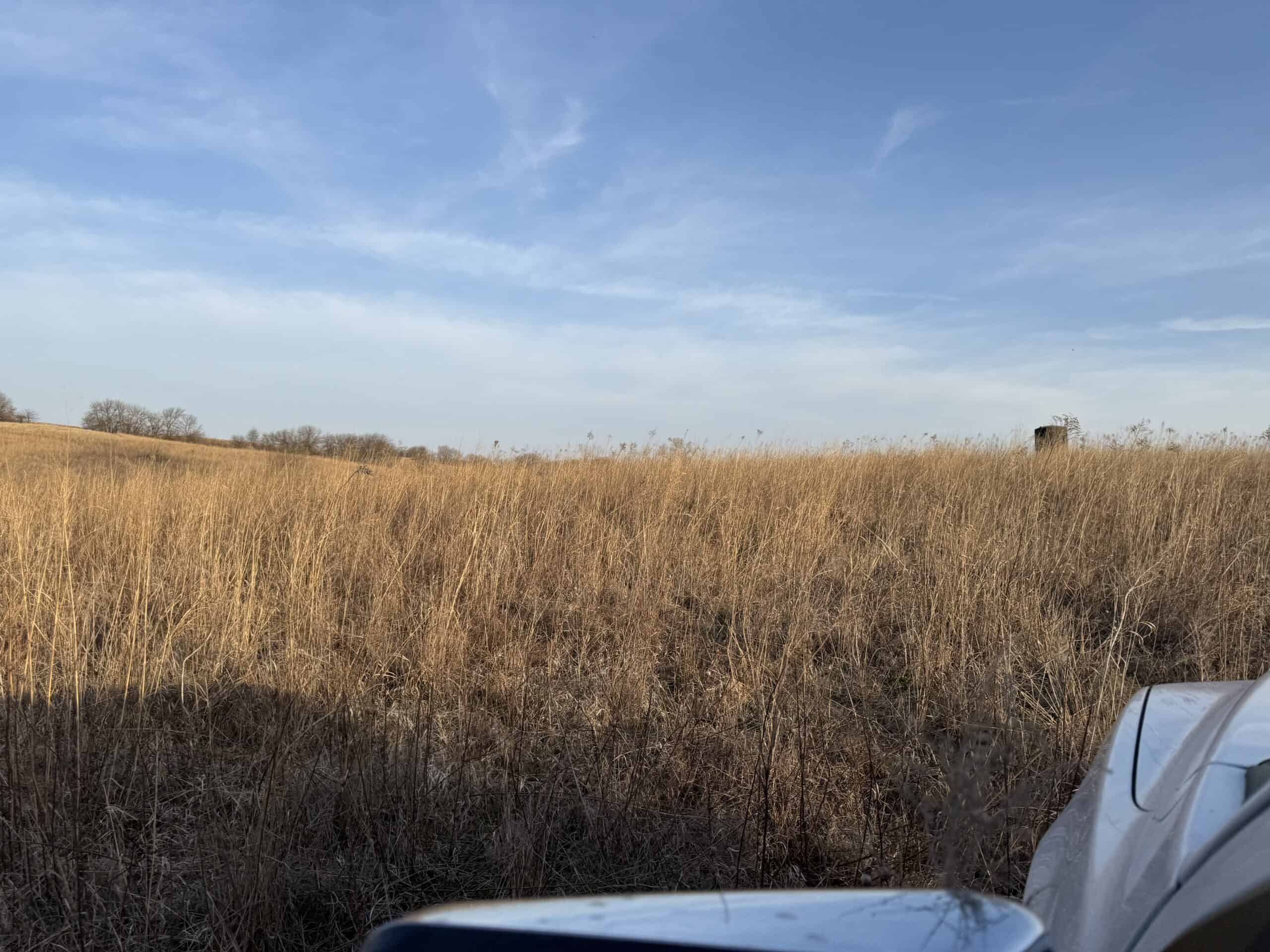 318 Acres m/l – Iowa Hunting & CRP Income Farm