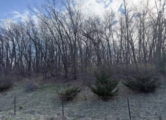 8 Acres of Timber – Great Hunting